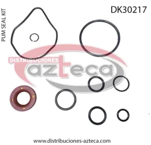 DK30217 Kit Bomba 8765 GmC Cadillac 07-10 Satur Outlook 07-10