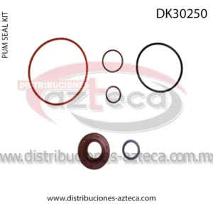 DK30250 Kit Bomba 9288 Mercedes Clace Audi
  02-06