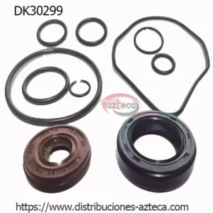 DK30299 Kit Bomba Ford Transit 07-11
  Peugeot Manager Boxer 07-13