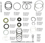 DK2266
  Kit Caja Saginaw Chevrolet MD 91-98 Saginaw Doble Piston