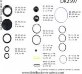 DK2597 Kit HD Caja  Sheppard M100 5545531