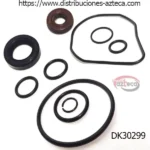 DK30299 Kit Bomba Ford Transit 07-11
  Peugeot Manager Boxer 07-13